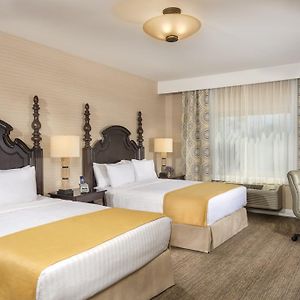 Executive Queen Suite